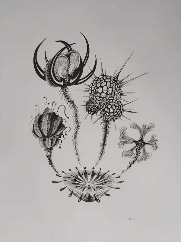 Encre de Chine 10