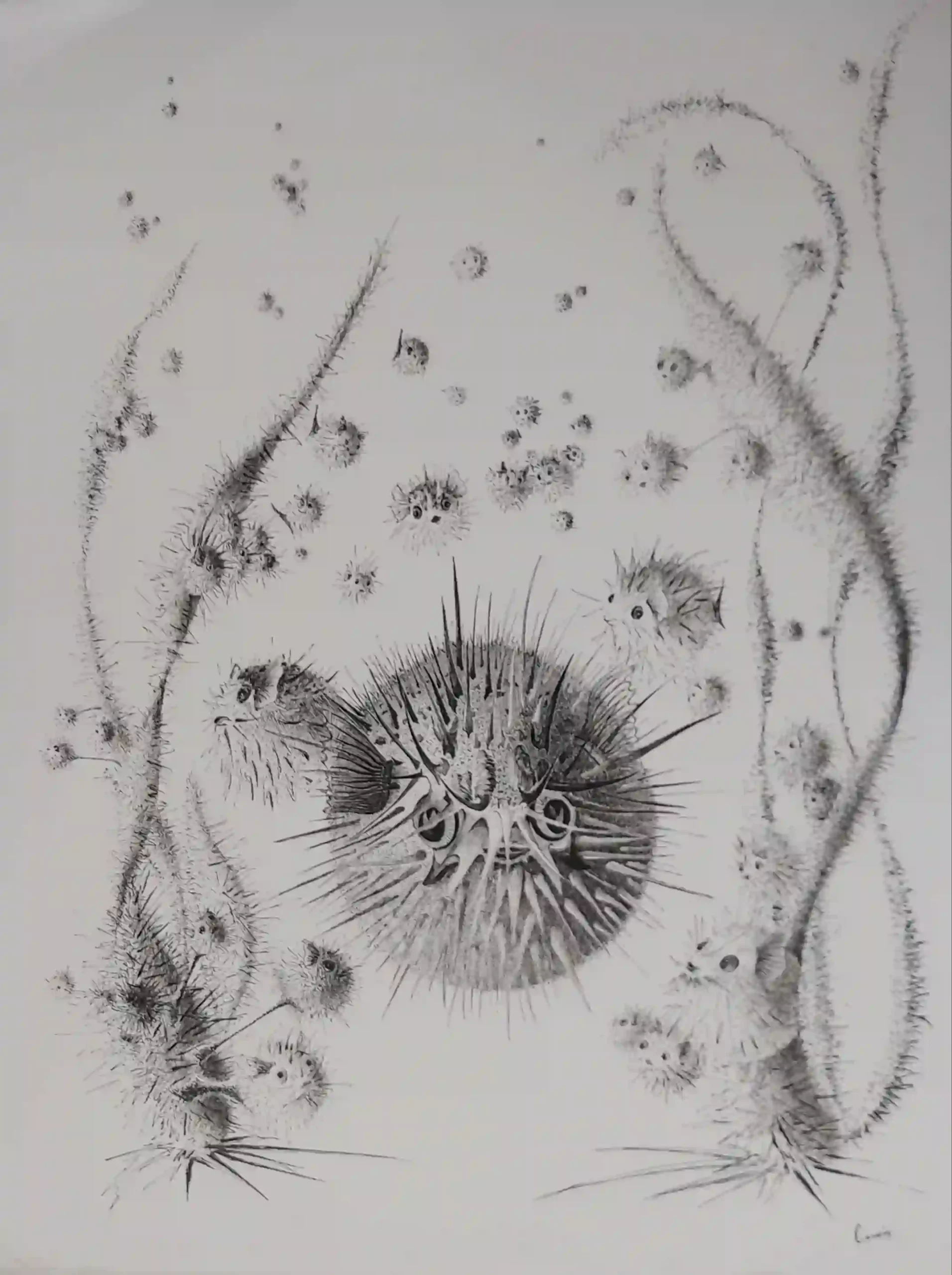 Encre de Chine 15