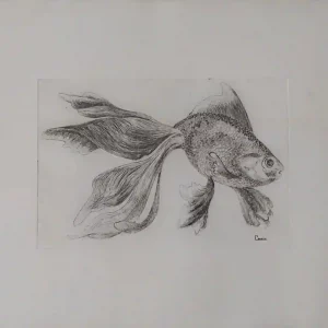 Gravure sur Cuivre