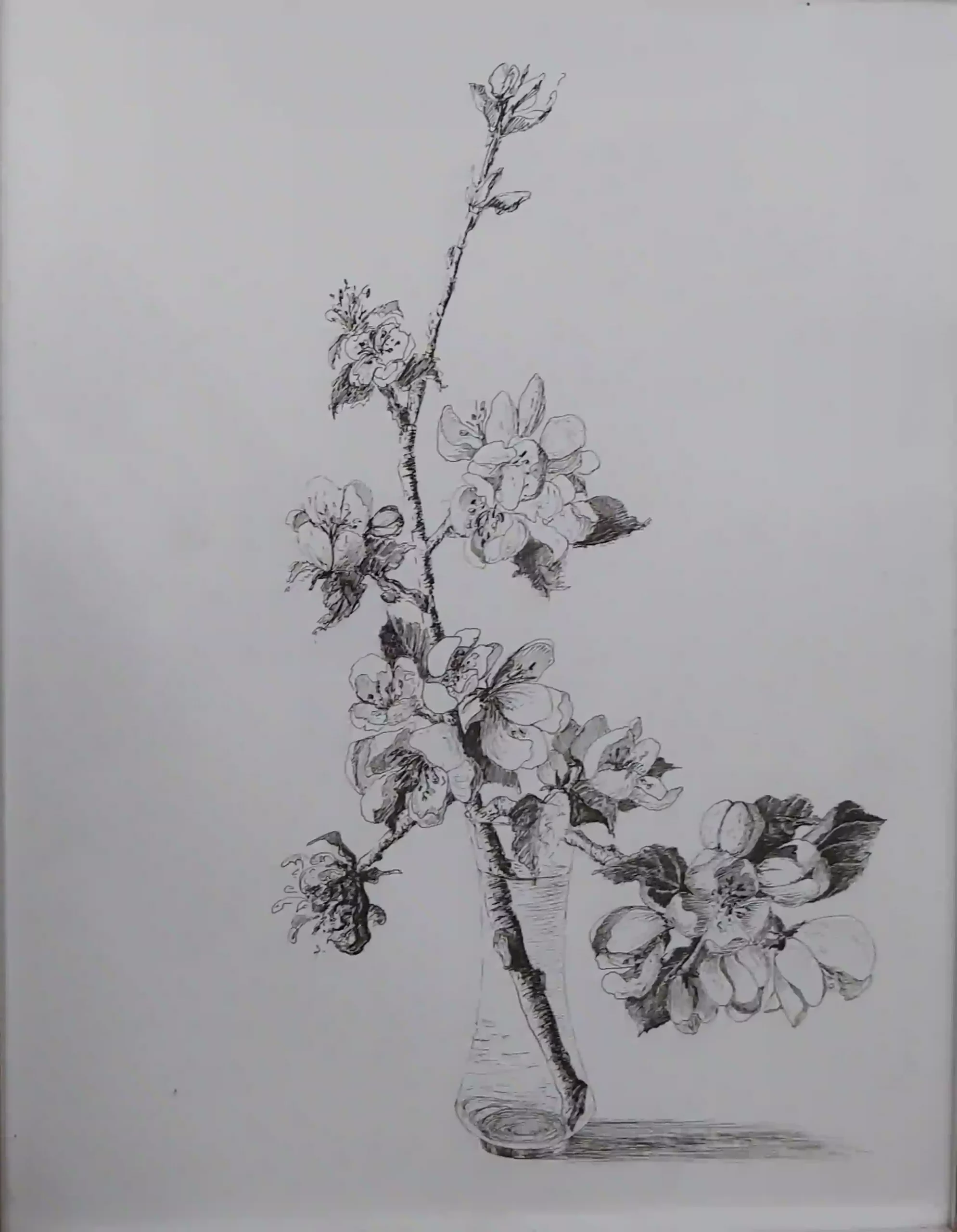 Encre de Chine 20
