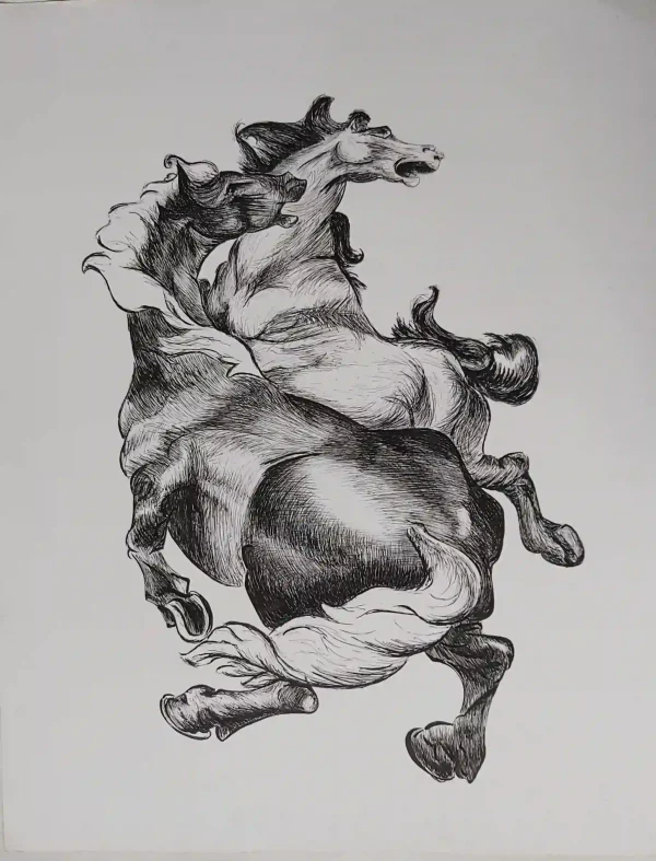 Encre de Chine 7