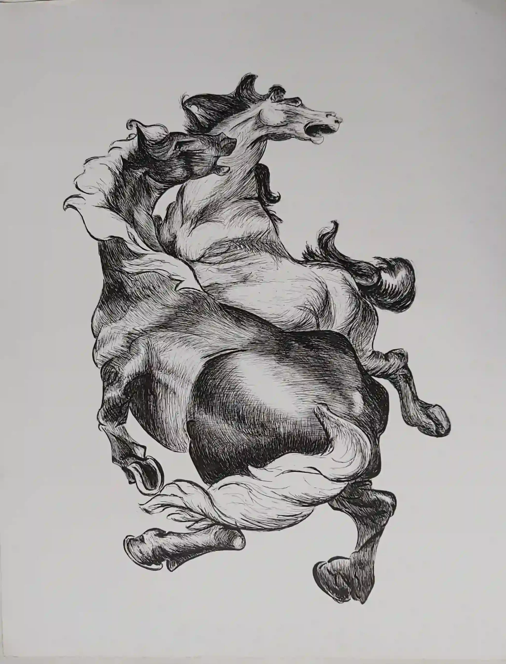 Encre de Chine 7