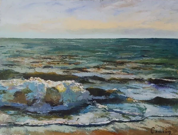 Mer 49