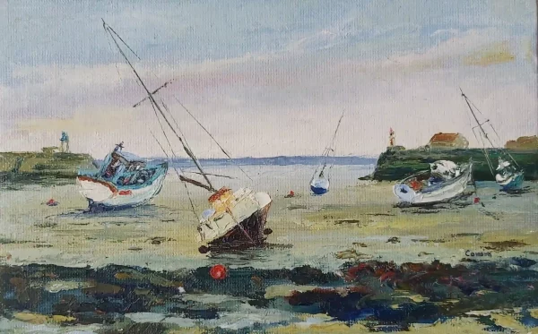 Mer 71