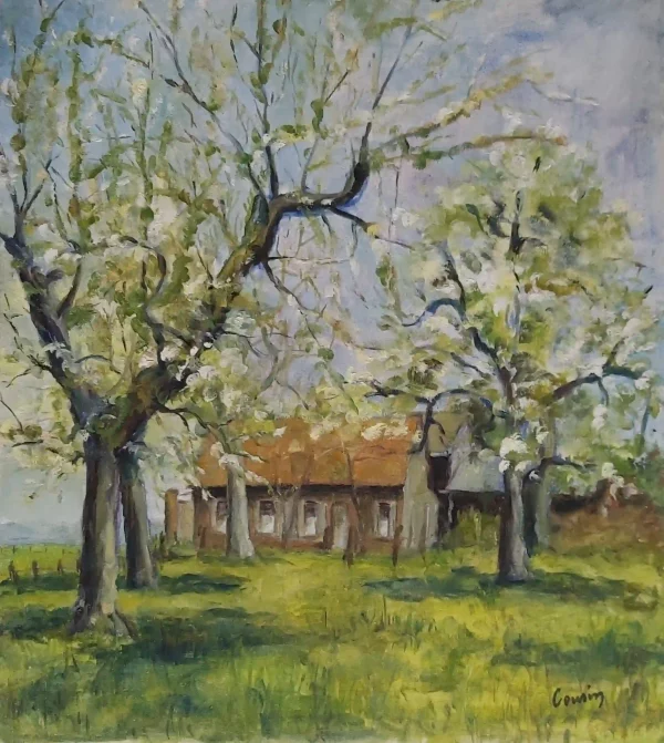 Paysage 24