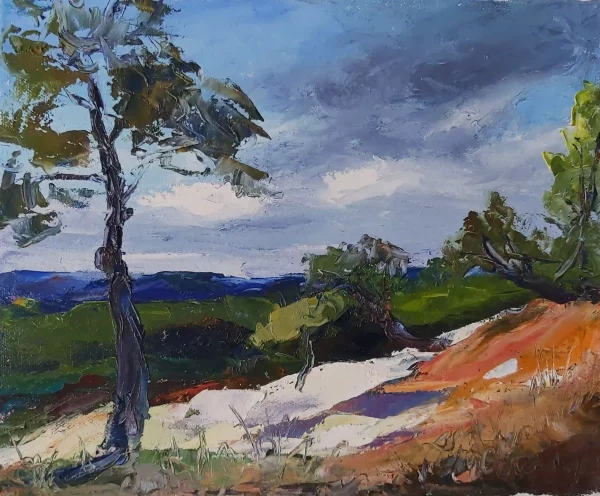 Paysage 42