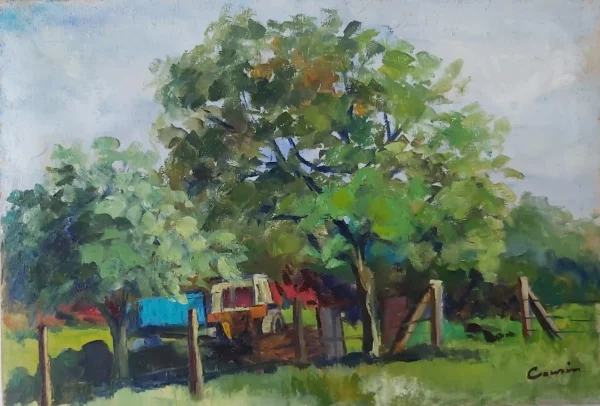 Paysage 46