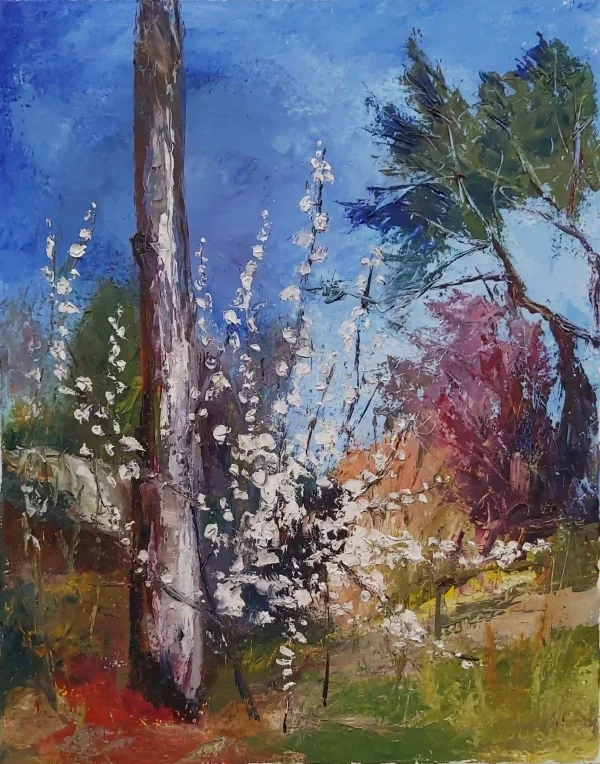 Paysage 50