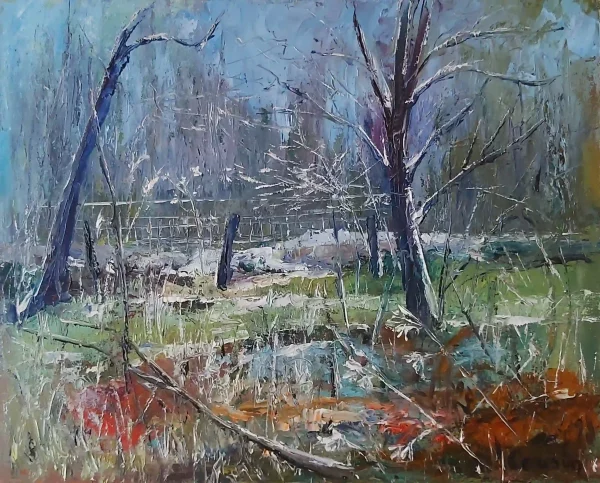 Paysage 51