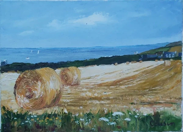 Paysage 8