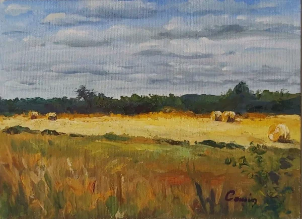 Paysage 9